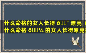 什么命格的女人长得 🐯 漂亮（什么命格 🌼 的女人长得漂亮好看）